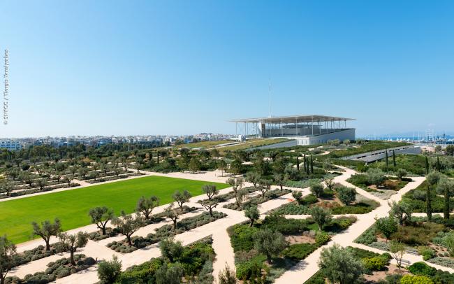 Mediterranean roof garden with olive trees